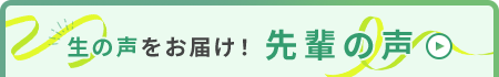 生の声をお届け！先輩の声